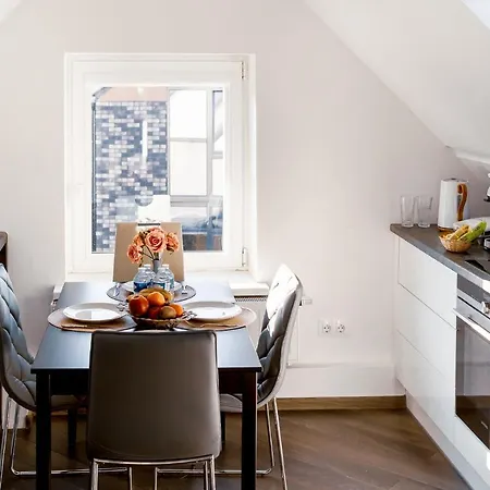Stylish, Modern Near Old Town Vilna
