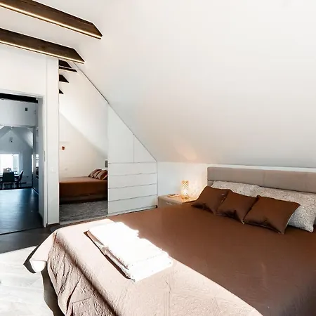 Stylish, Modern Near Old Town Vilna