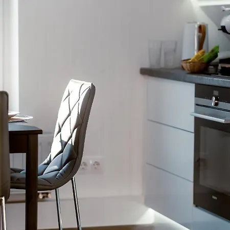 Stylish, Modern Near Old Town Apartment Vilnius