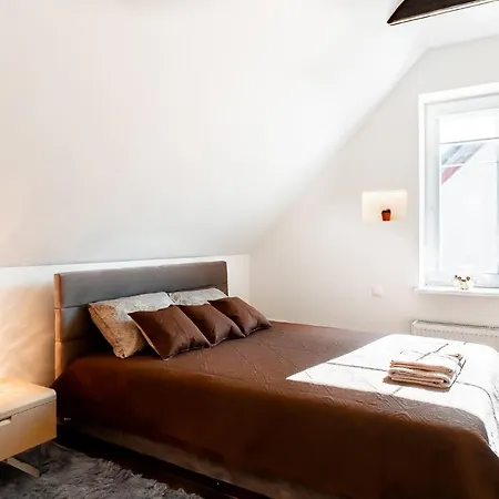 Stylish, Modern Near Old Town Wilno
